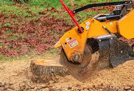 Mulching Services in Dixon, IL